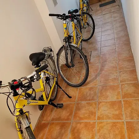 Apartment Bevk *